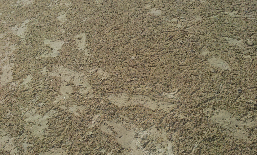 песочек около горы Као Такиаб, Хуахин